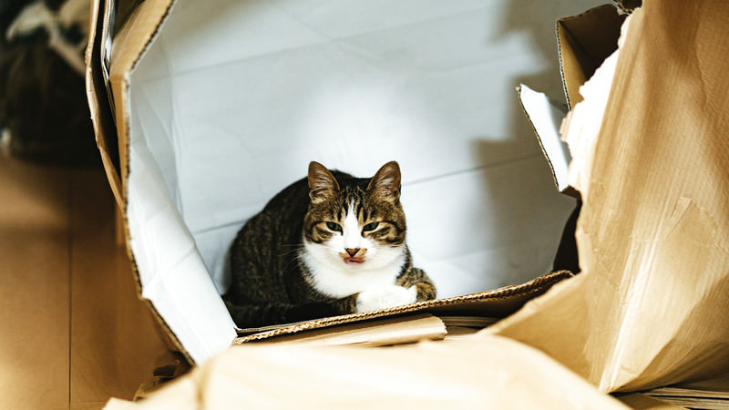 物忘れや認知症に役立つ10個のポイント